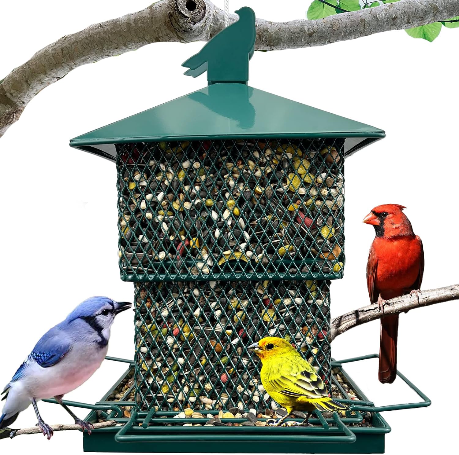 Backyard Birding & Wildlife - Meleave Bird Feeders for Outdoors, 6.5lb Large Capacity, Heavy Duty Metal Bird Feeder, Supports Cardinal, Finch, Blue Jay and Wild Birds