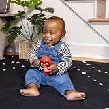 Baby Einstein Roxys Bright Flight Musical Toy Multisensory Ages 3 Months Up view 3