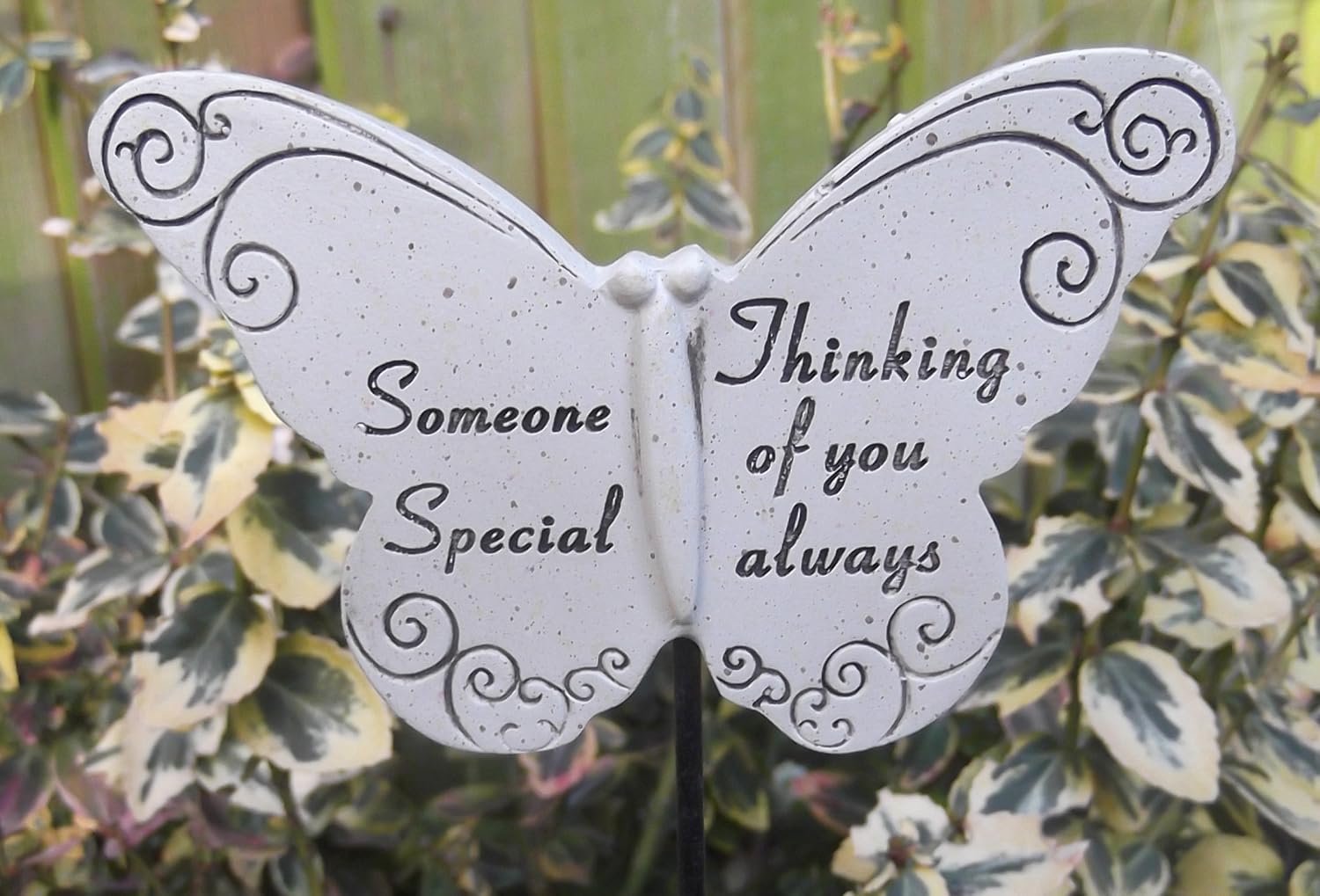 Memorial Butterfly Special Someone Graveside Ornament Amazon.co.uk