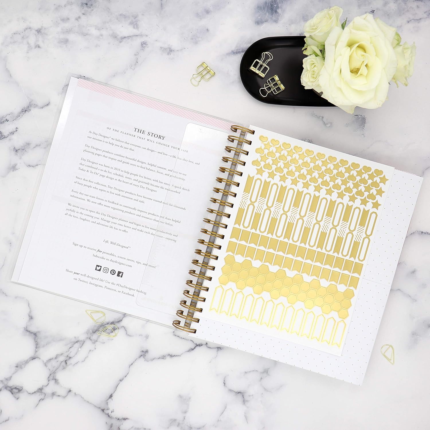 Day Designer for Blue Sky 2020-2021 Academic Year Daily & Monthly Planner, Frosted Flexible Cover, Twin-Wire Binding, 8" x 10", Black Stripe (120053) : Office Products