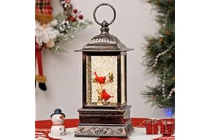 EYROSA Christmas Snow Globe Decorations, Musical Glitter Cardinal Lantern with 6H Timer, USB/Battery Powered Lighted Décor for Home, Tabletop, Gift Box