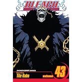 Bleach, Vol. 43