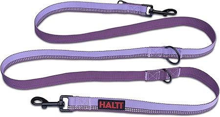 halti lead