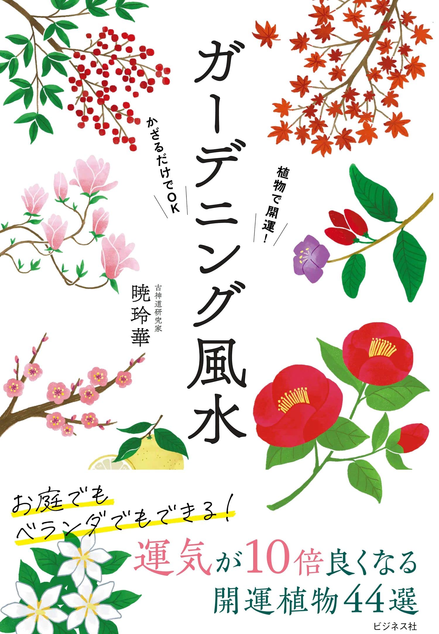 植物で開運 かざるだけでok ガーデニング風水 暁 玲華 本 通販 Amazon