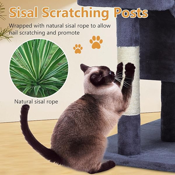 FDW CAT TREE FOR INDOOR CATS 36 INCHES CAT TOWER MULTI-LEVEL INDOOR CAT PLAY CONDO HOUSE WITH SCRATCHING POSTS, SPACIOUS PERCH, SISAL POSTS AND DANGLING TOYS (DARK GREY)