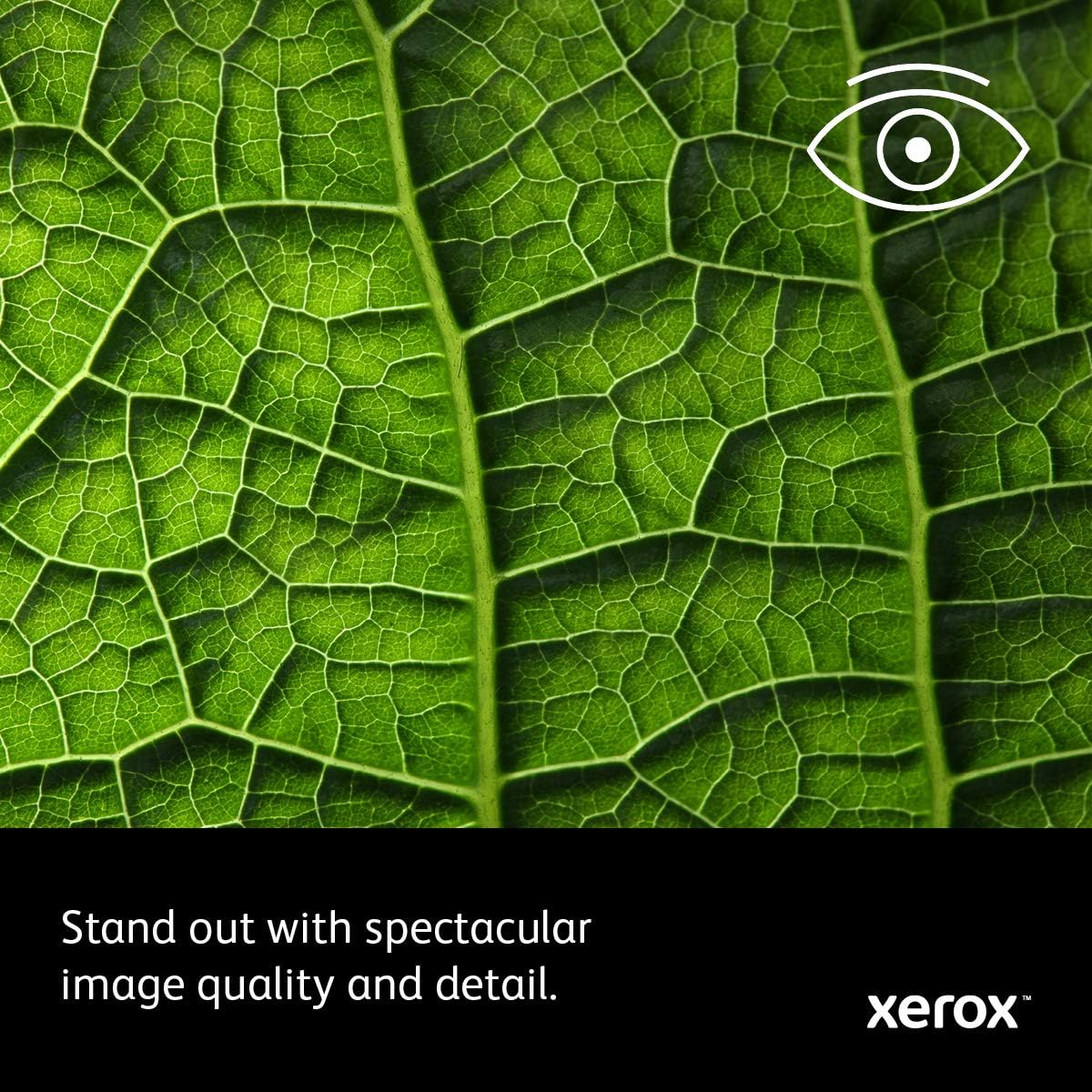 Xerox Phaser 6510/DN Color Printer,  Dash Replenishment Ready: Office Products