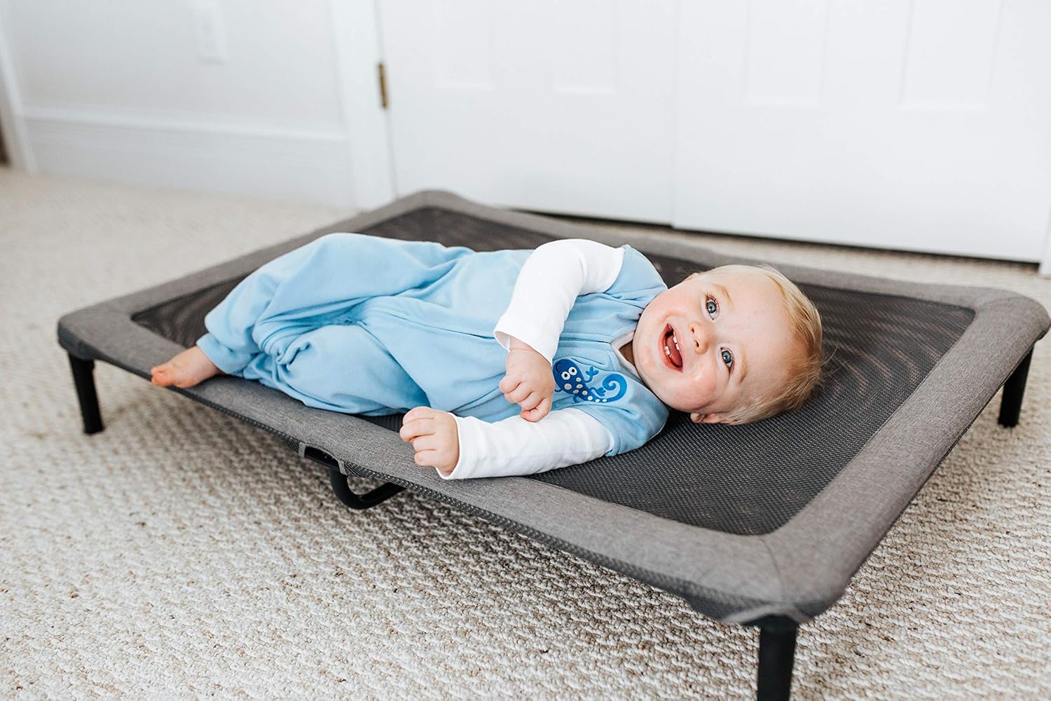 halo dreamnest bassinet