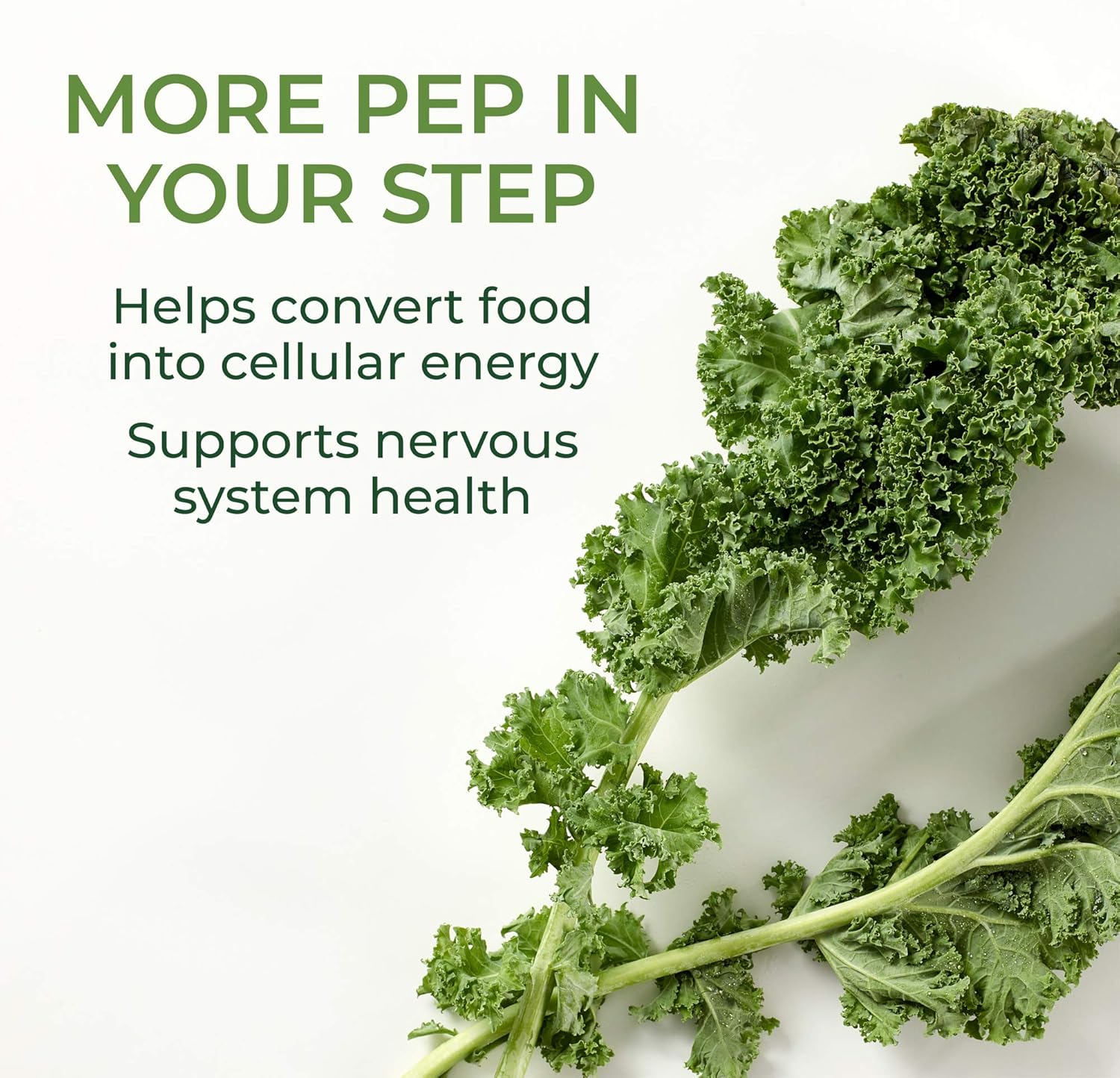 MegaFood, Balanced B Complex, Promotes Healthy Energy Levels, Multivitamin Dietary Supplement, Gluten Free, Vegan, 90 Tablets (90 Servings): Health & Personal Care