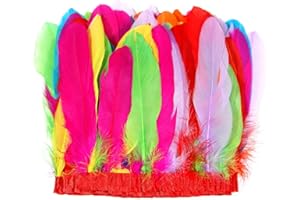 MAOFENG 2 Yards Natural Fluffiness Goose Feathers Trim Sewing Fringe 6-8inch for DIY Handicrafts Costumes Decoration,Mixed