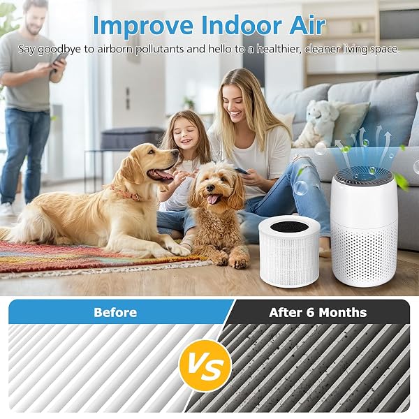 2 PACK CORE MINI REPLACEMENT FILTER FOR LEVOIT CORE MINI-P AIR PURIFIERS, CORE MINI-RF FILTER REPLACEMENT