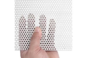 GYHCHJDZ Perforated Sheet Stainless Steel Perforated Metal Sheet 11.8" x 11.8" Stainless Steel Preforated Sheet, 0.12" Hole