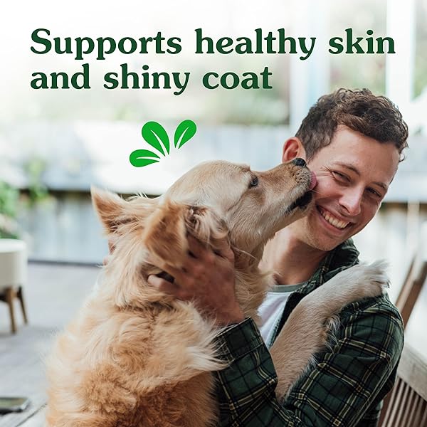 GREENIES SUPPLEMENTS DOG SKIN AND COAT SUPPLEMENTS WITH OMEGA 3 FATTY ACIDS & FISH OIL FOR DOGS, CHICKEN FLAVOR, 14.7 OZ, 80 COUNT