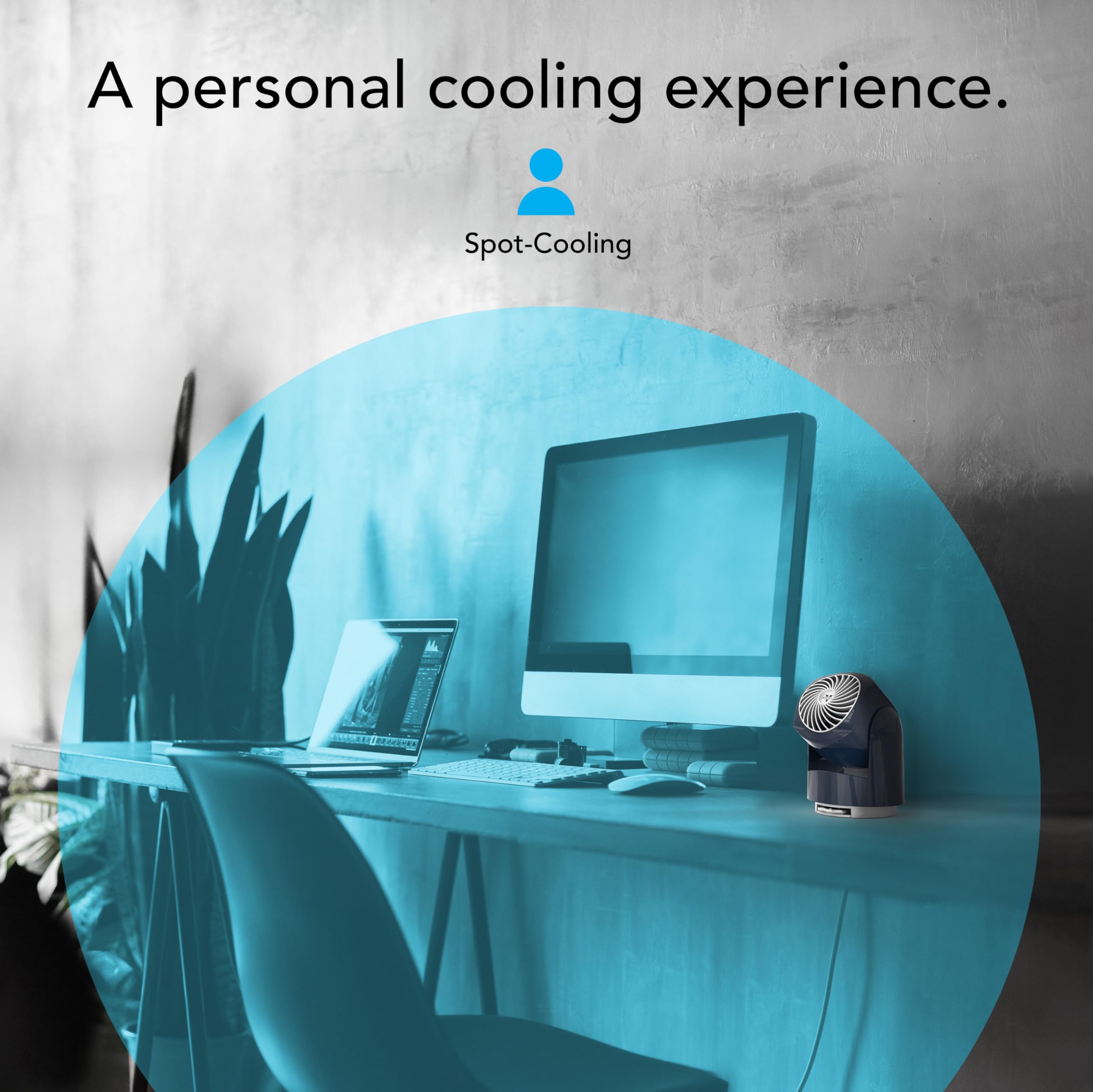 Vornado Flippi V6 Compact Air Circulator Fan, Quiet Portable Travel Fan for Desk or Bedroom, Adjustable Head, 2 Speeds, Midnight