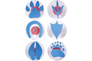 READY 2 LEARN Giant Stampers - Paw Prints - Set of 6 - Easy to Hold Foam Stamps for Kids - Arts and Crafts Stamps for Displays, Posters, Signs and DIY Projects