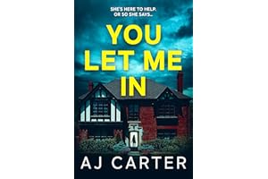 You Let Me In (Standalone Psychological Thrillers)