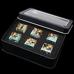 AUSTOR 6 Sided Resin D6 Dice