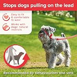 Beaphar Gentle Leader Head Collar for Small Dogs - Anti-Pull Training Aid view 5