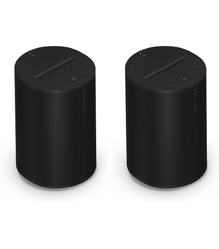 Amazon.com: Sonos Play - Black (Pack of 2) : Electronics