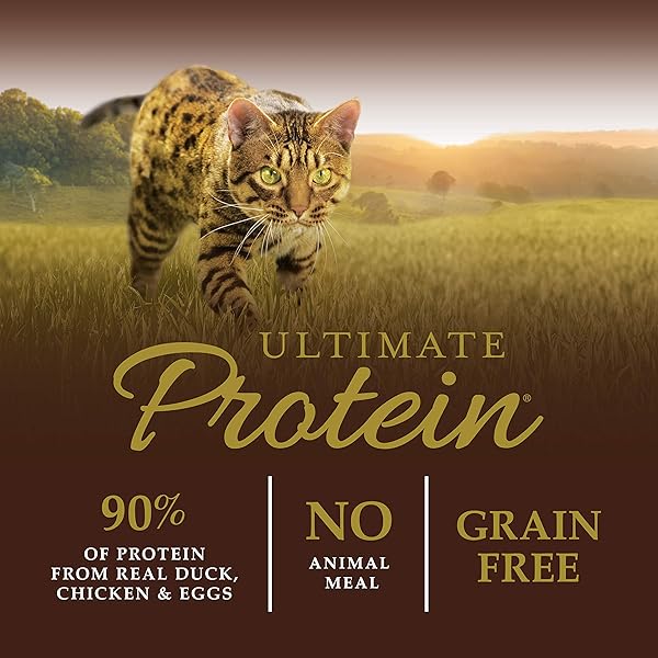INSTINCT ULTIMATE PROTEIN, NATURAL DRY CAT FOOD, GRAIN FREE RECIPE – CAGE FREE DUCK, 4 LB. BAG