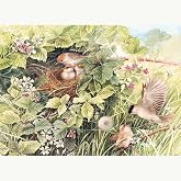 Cobble Hill 1000 Piece Puzzle - Hidden Nest - Sample Poster Included
