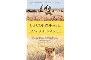 The Lion's Share? A COMPREHENSIVE GUIDE TO ALL ASPECTS OF US CORPORATE LAW AND FINANCE: Agency, Partnerships, Incorporation &