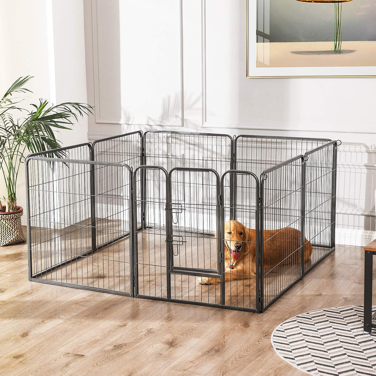 Como Proteger Puertas De Arañazos De Perros