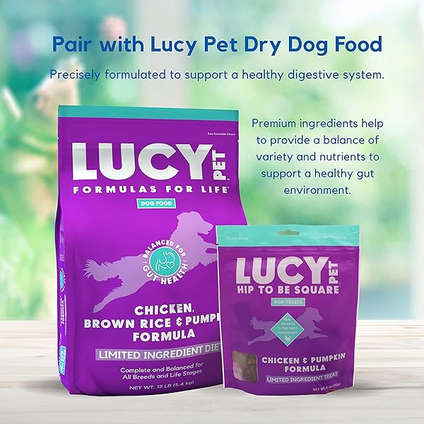LUCY PET HIP TO BE SQUARE CHICKEN AND PUMPKIN DOG TREATS 6OZ