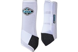 Professional's Choice 2XCOOL Sports Medicine Horse Boots | Protective & Breathable Design for Ultimate Comfort, Durability & Cooling in Active Horses | 2 Pack (WHITE, SMALL)