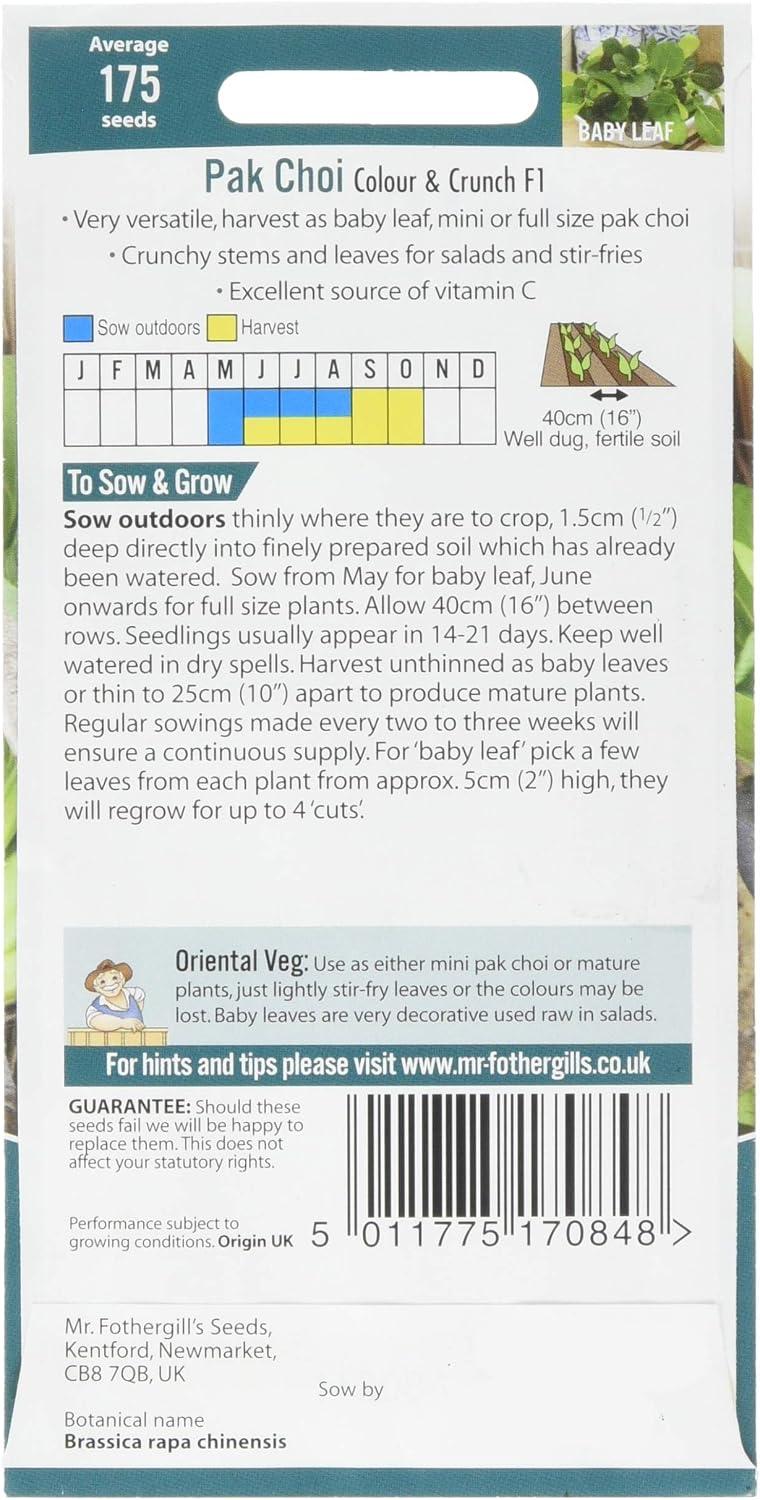 Mr Fothergill's 19509 PAK Choi Colour & Crunch F1, Mixed - Image 3