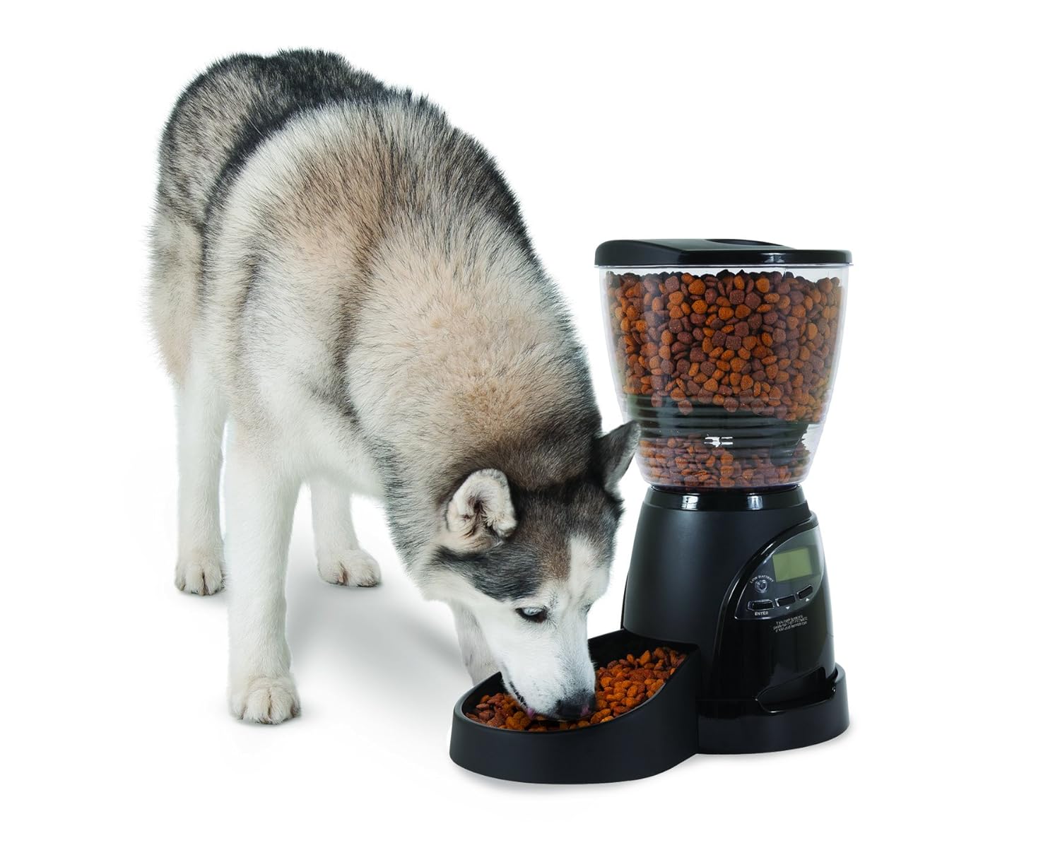 Купить Aspen Pet Lebistro Programmable Food Dispenser в интернет