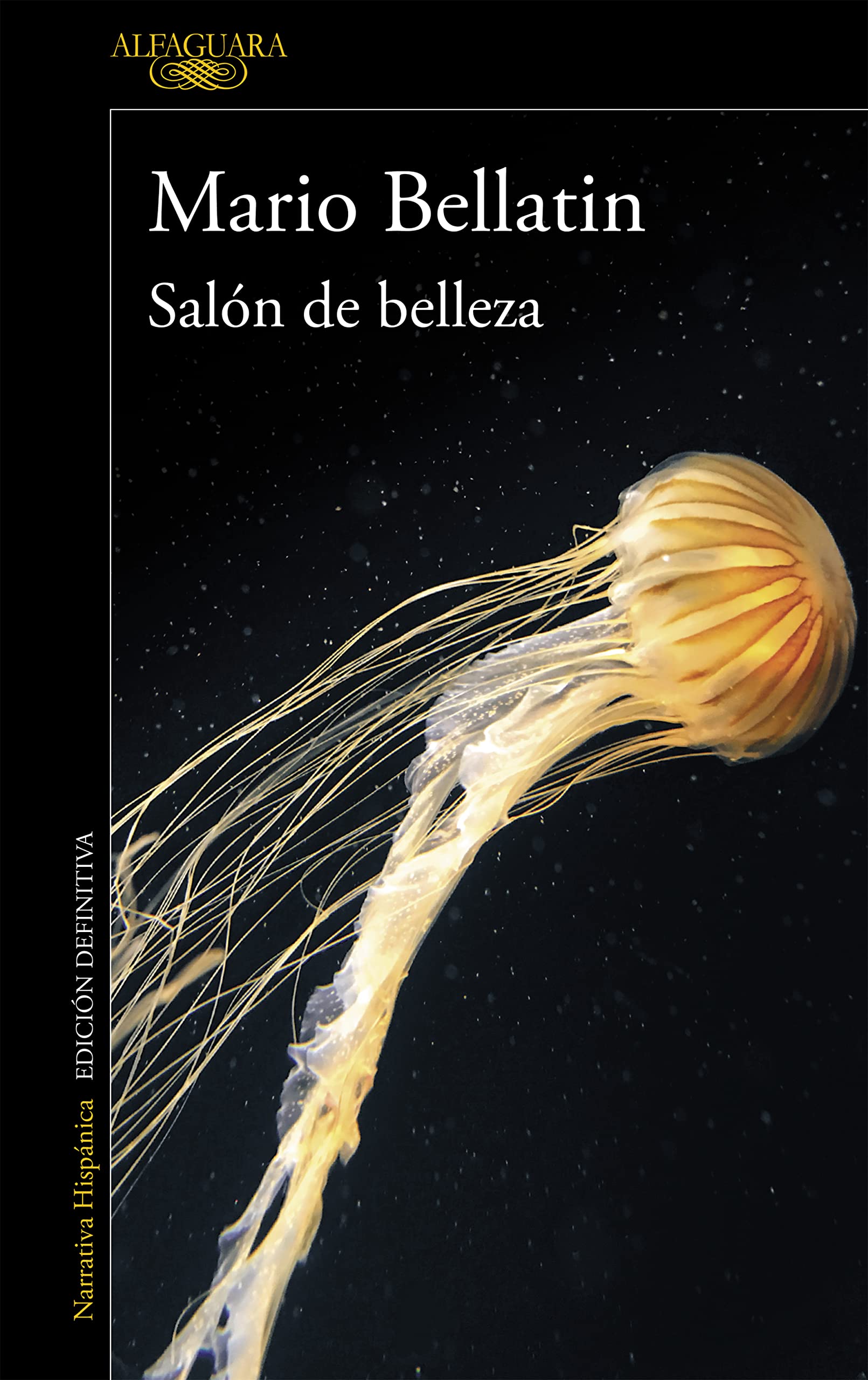 Salon De Belleza