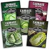Cabbage Seeds Variety Pack - 5 Heirloom Non-GMO