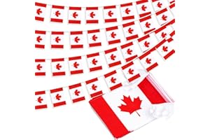 MVPRING Canada String Flag Pennant Banner, Small Mini Canadian Flags Bunting Banner, Canada Day Dominion Day National Country Decoration for School, Party, Sports Events, Patriotic Festival, 33 Feet 30 Flags