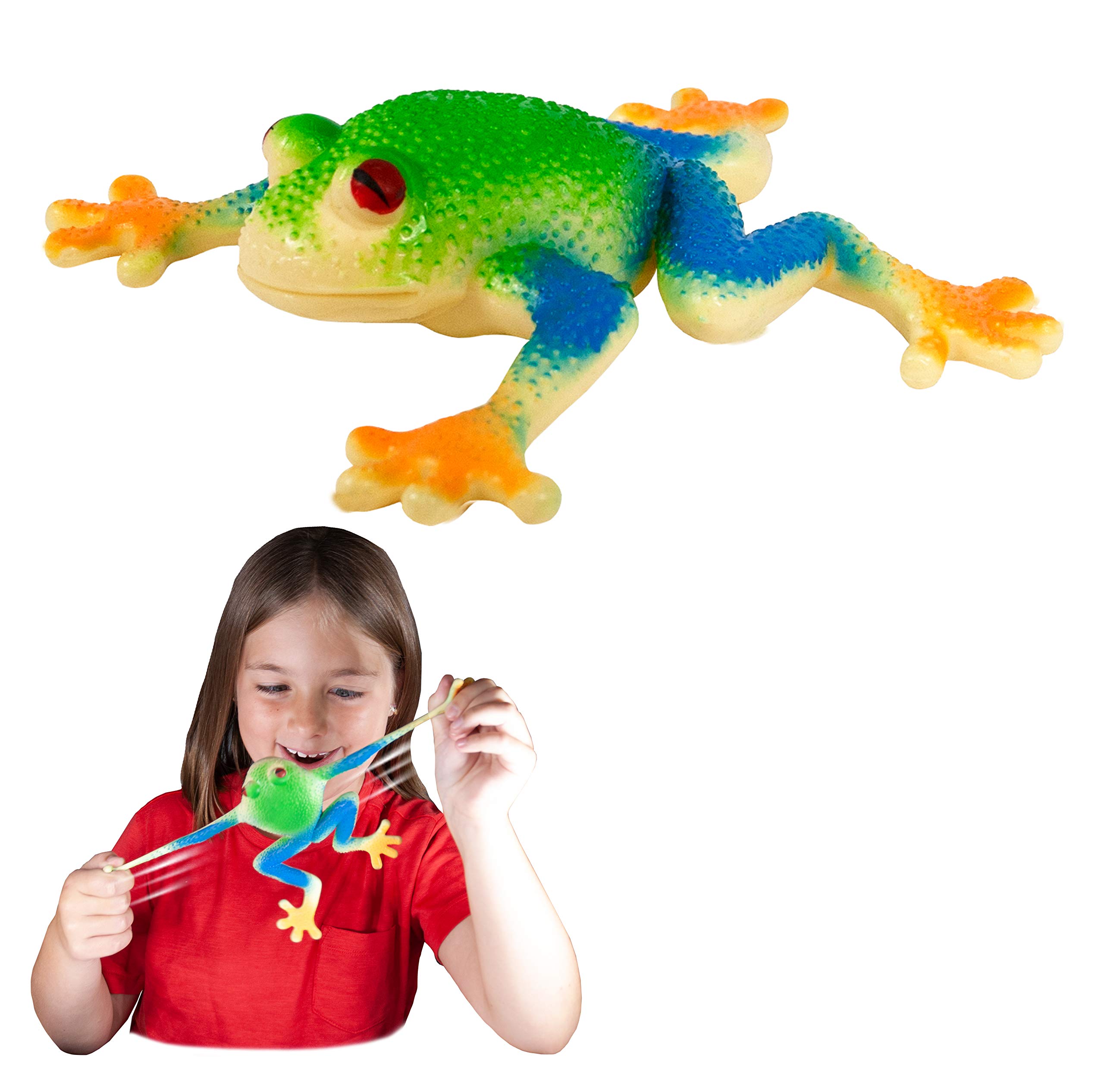 Rep Pals - Stretchy Red Eyed Tree Frog Toy by Deluxebase. Animal Shaped Squishy Sensory Fidget Toys, Stress Relief Squeeze Figure, Soft Flexible Rubber, Fun Fantasy Gift for Kids — image 1