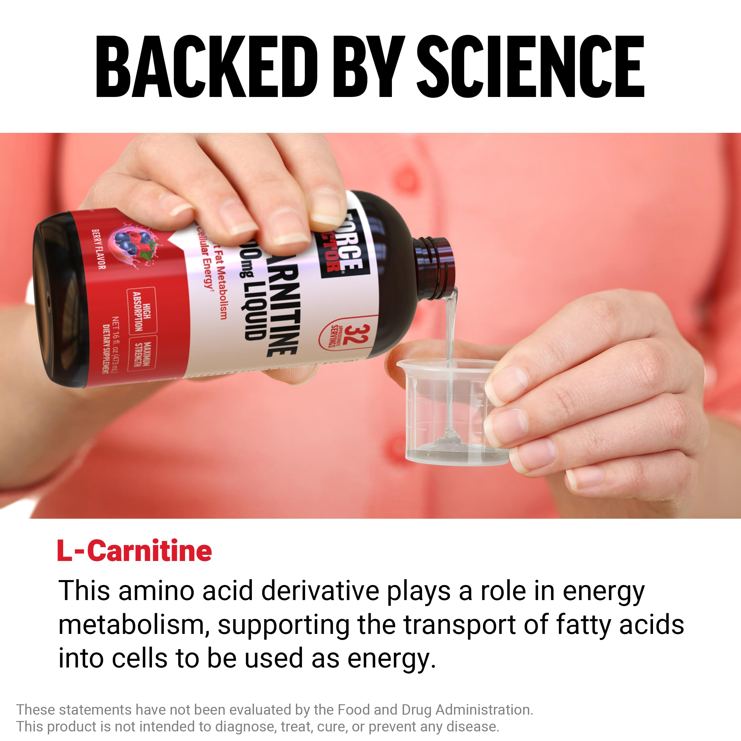 Force Factor L-Carnitine Liquid 3000mg, Maximum Strength Supplement to Support Fat Metabolism, Cellular Energy & Muscle Recovery, High Absorbing, Non-GMO, Berry Flavor, 16 oz Bottle