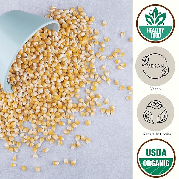 YELLOW ORGANIC POPCORN KERNELS (4.8LB) – UNCOOKED CORN BULK GREAT FOR MOVIE NIGHT – HEALTHY MICROWAVE SNACKS IDEAL FOR POPPING – USA GROWN | USDA CERTIFIED | VEGAN | NON-GMO