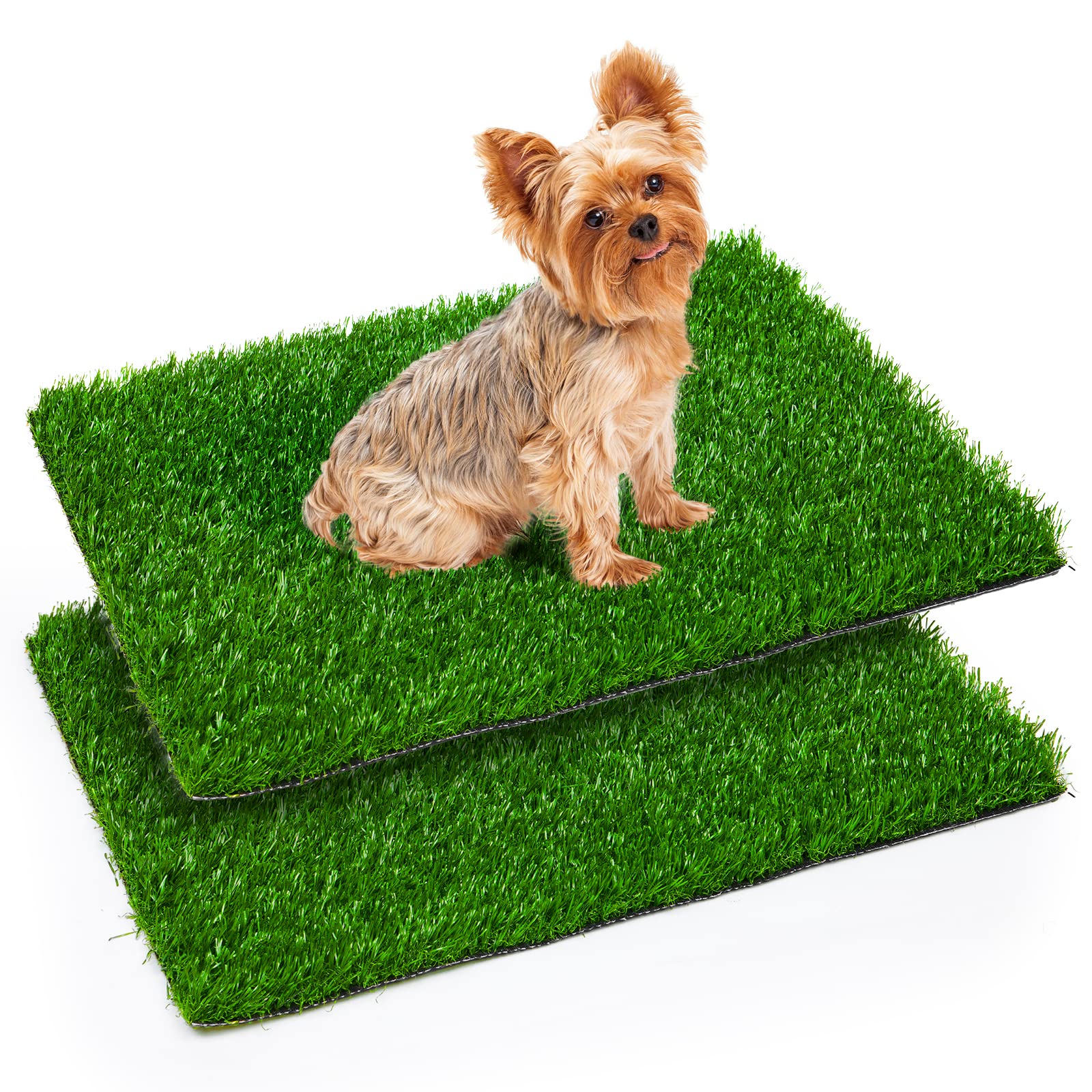 Photo 1 of Oiyeefo Artificial Pee Grass Pad for Dogs, Fake Grass Replacement Pads for Dog Potty Tray Training Pet Turf, Indoor and Outdoor Mat- 2 Packs (14" x 18")