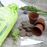Scott&Co Herbs Seed Kit 10 Varieties Basil Coriander Chives Mint Oregano view 3