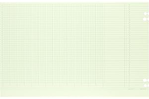 Wilson Jones Green Columnar Sheets, Single Page Format, 14 Columns, 36 Lines Per Page, 11" X 17", 100/Pack, WG50-14B