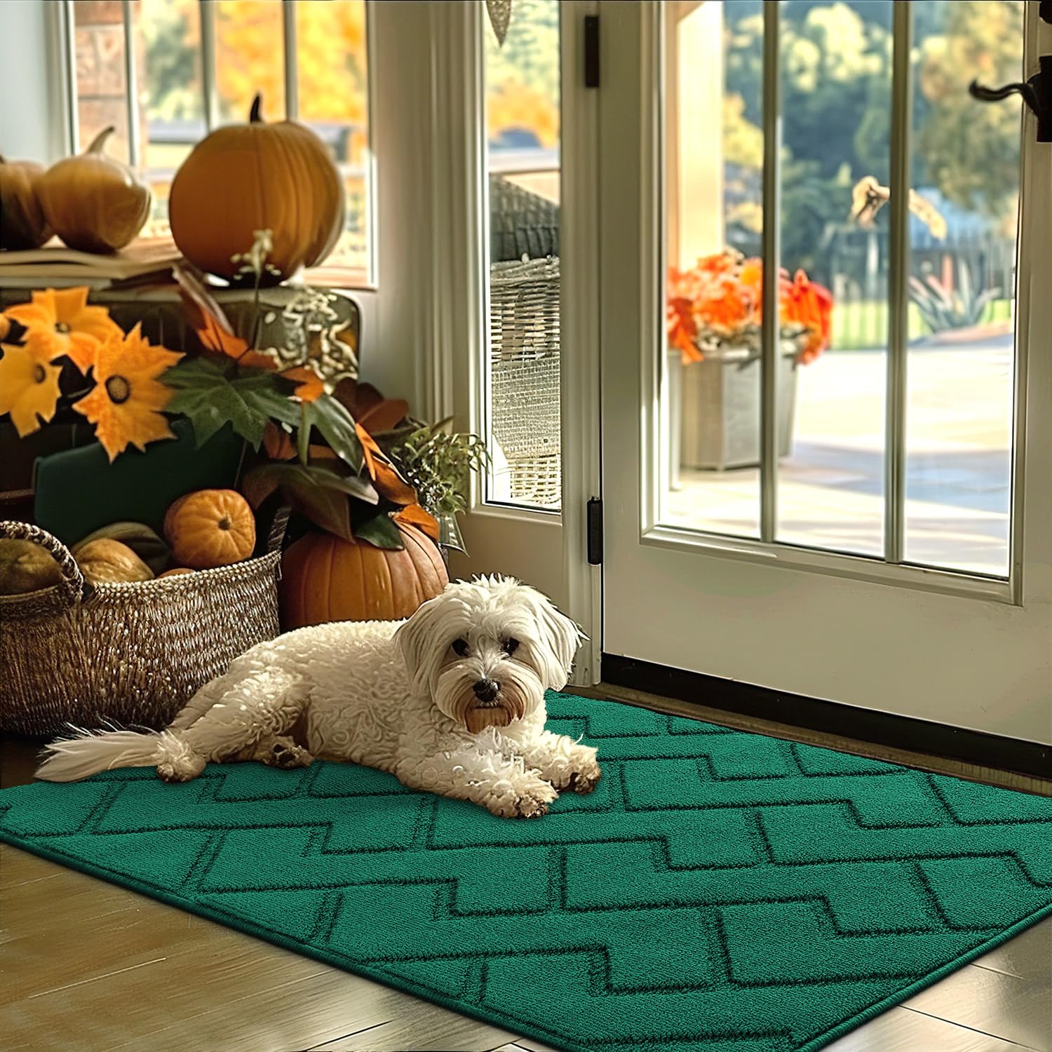 Photo 1 of hicorfe Indoor Door Mat,Non Slip Door Mats,32"x48" Front Back Door Mat Rubber Backing,Absorbent Resist Dirt Entrance Inside Floor Mats for Entryway Washable Low-Profile(Evergreen)