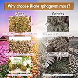 Riare 500g Sphagnum Moss Long Fibered for Plants Orchids Terrariums view 5