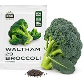 250 Broccoli Seeds for Planting - Heirloom, Waltham 29 | Non-GMO, USA Grown, Main Heads and Side Shoots, Outdoor Spring and Fall Vegetable Gardens, Waterproof Packet, RDR Seeds