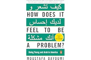 How Does It Feel to Be a Problem?: Being Young and Arab in America