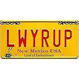 Amazon Com Ghostbusters 1 Amp 2 Ecto 1 Ecto 1a Metal