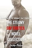 THE STEAMY GAY EROTICA NOVEL COLLECTION