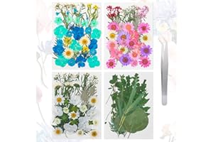 CHIFFONADE 134pcs Blue Pink Dried Pressed Flowers for Nails, Real Natural Dry Flower with Tweezers, Dried Leaves Bulk for Art Crafts, Resin, Candle Soap Making, Epoxy Jewelry
