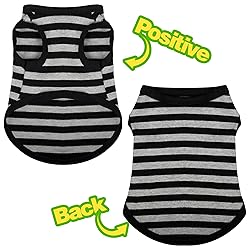 Paiaite Striped Shirt for Dogs - Happy Color Cotton