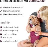 BellyGuard Dog Recovery Suit After Surgery Cozy Bodysuit view 4