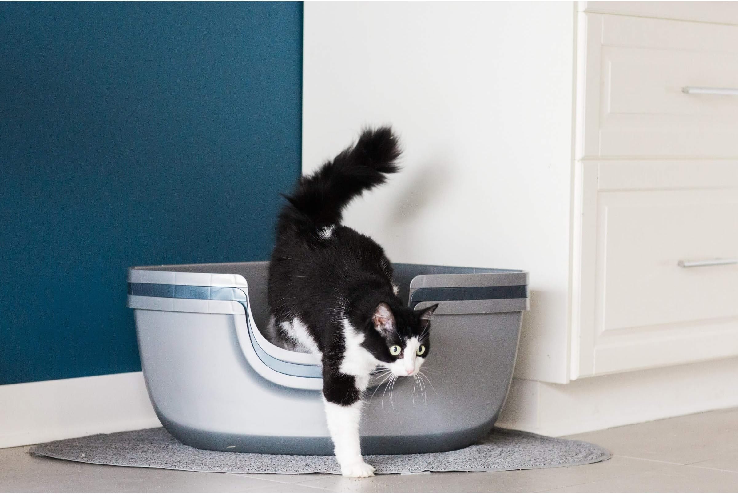 MISC Silver Grey Sifting Cat Litter Box Corner Pan Pet Cats Litter Box with High Sides Pets Privacy Contemporary Gray Blue, Eco-Friendly Plastic