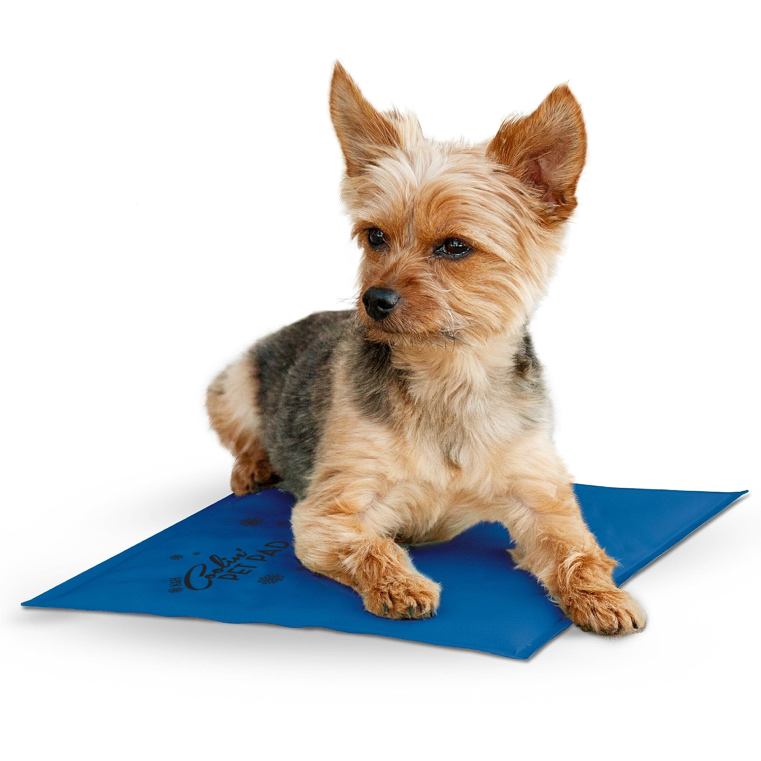 K&H Coolin' Pet Pad for Dog, Small